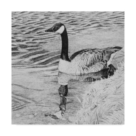 Trademark Fine Art Rusty Frentner 'Lone Goose' Canvas Art, 35x35 ALI33107-C3535GG